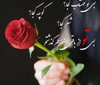 متن ادبی عاشقانه کوتاه؛❤️جملات ادبی عاشقانه و زیبا برای همسر و عشقم